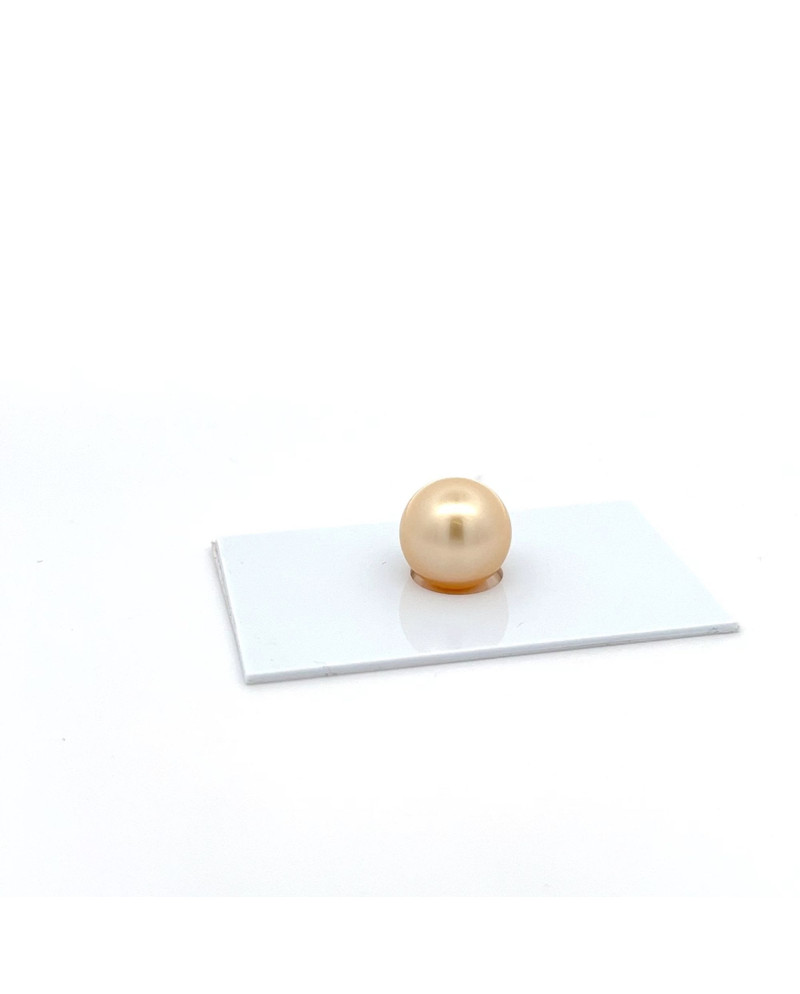 12mm+ gem  grade South Sea pearl, Australia