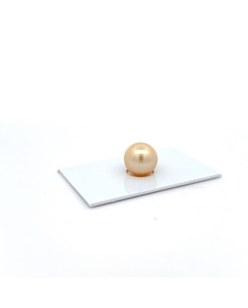12mm+ gem  grade South Sea pearl, Australia