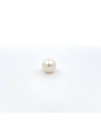 12mm+ gem  grade South Sea pearl, Australia
