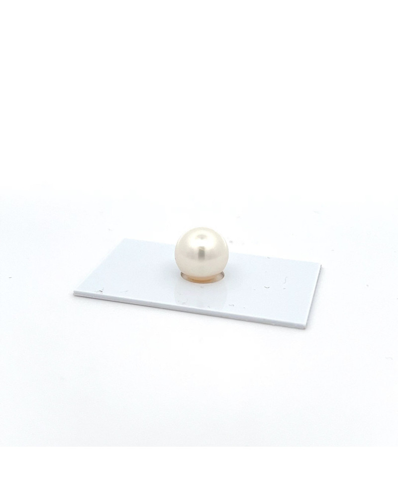 12mm+ gem  grade South Sea pearl, Australia