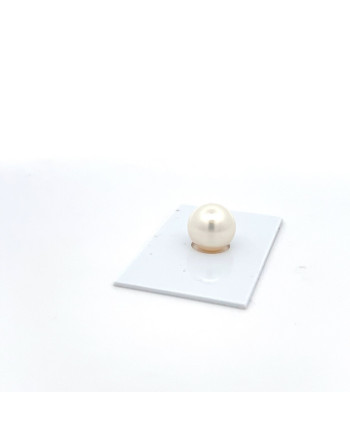 12mm+ gem  grade South Sea pearl, Australia