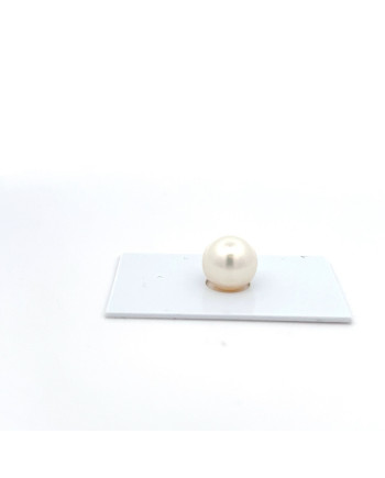 12mm+ gem  grade South Sea pearl, Australia