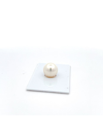 12mm+ gem  grade South Sea pearl, Australia