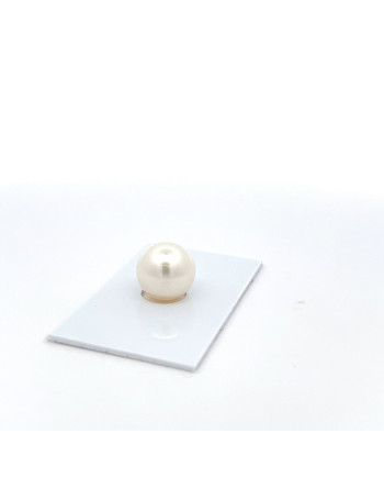 12mm+ fine  grade South Sea pearl, Australia
