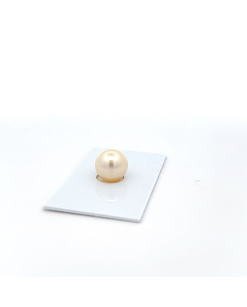 9mm+ fine  grade South Sea pearl, Australia