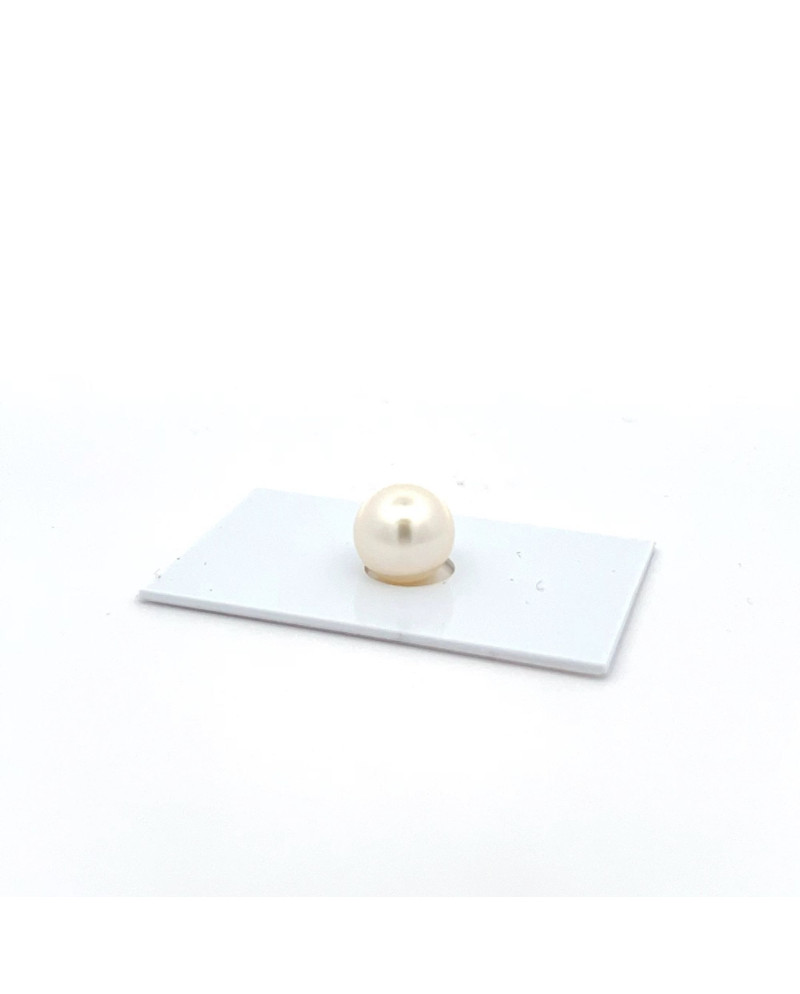 9mm+ gem  grade South Sea pearl, Australia