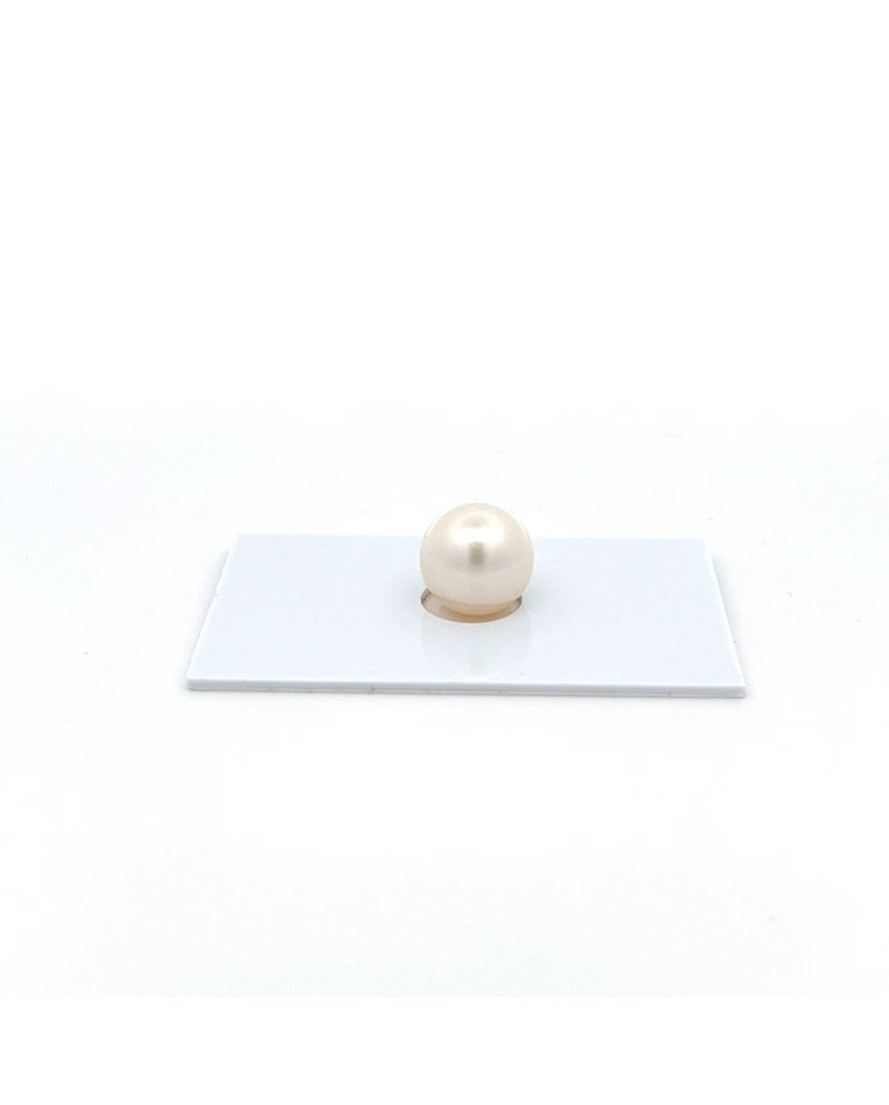 9mm+ fine  grade South Sea pearl, Australia