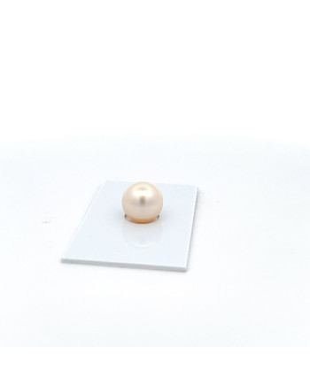 9mm+ fine  grade South Sea pearl, Australia