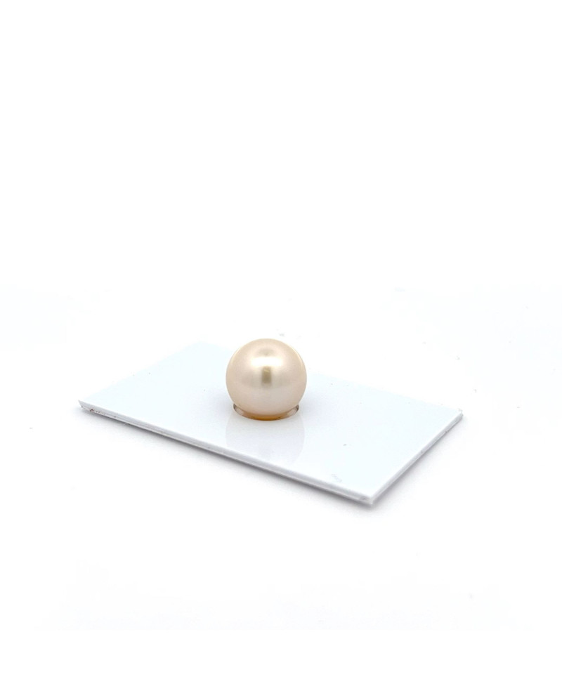 12mm+ jewel  grade South Sea pearl, Australia