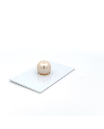 12mm+ jewel  grade South Sea pearl, Australia