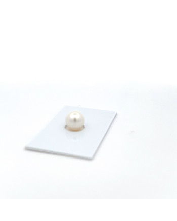 9mm+ gem  grade South Sea pearl, Australia