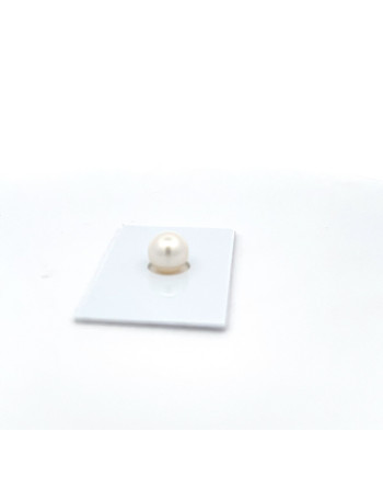 9mm+ gem  grade South Sea pearl, Australia