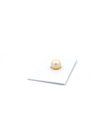 9mm+ fine  grade South Sea pearl, Australia