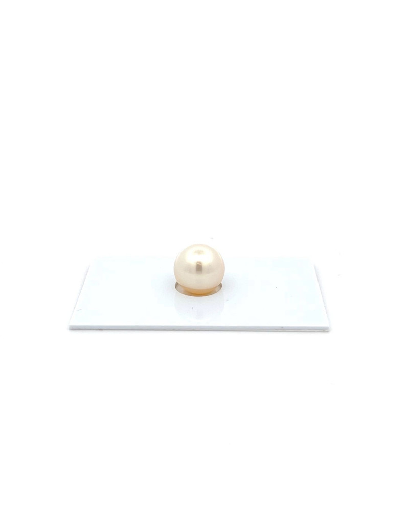 9mm+ jewel  grade South Sea pearl, Australia