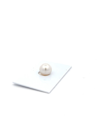 9mm+ jewel  grade South Sea pearl, Australia