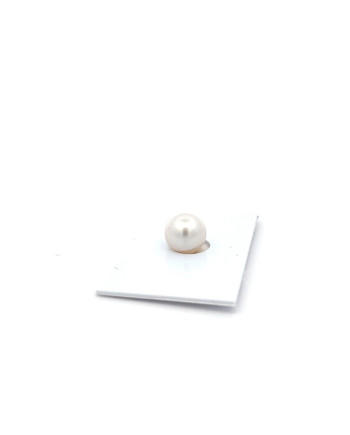 9mm+ jewel  grade South Sea pearl, Australia