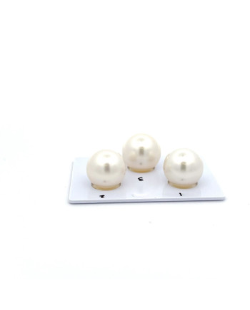 12mm+ fine  grade South Sea pearl, Australia