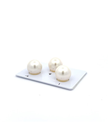 12mm+ gem  grade South Sea pearl, Australia