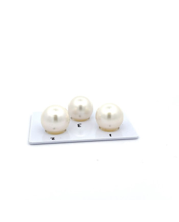 12mm+ fine  grade South Sea pearl, Australia