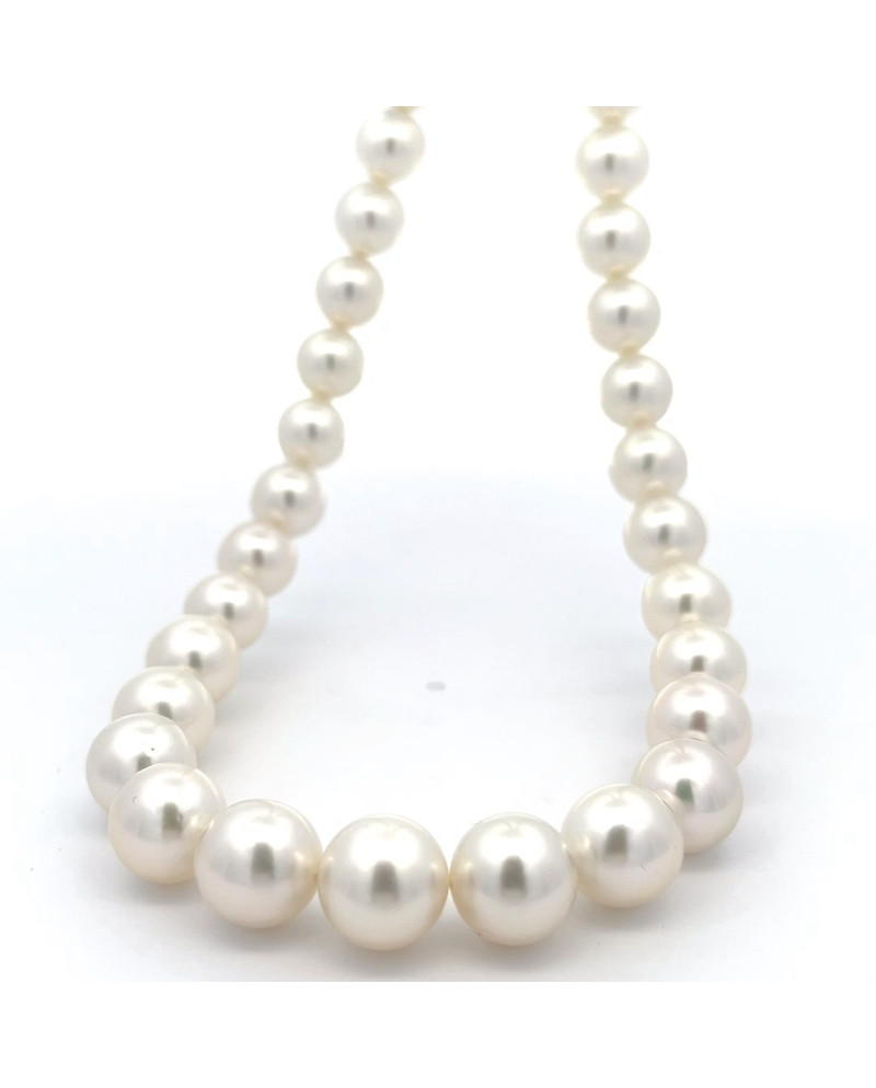 9mm+ fine  grade South Sea pearl, Indonesia