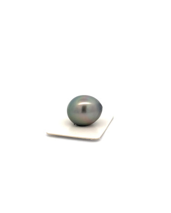 17mm+ fine  grade Tahitian Black pearl, French Polynesia  