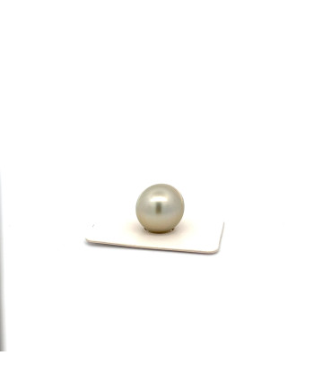 15mm+ fine  grade Tahitian Black pearl, French Polynesia  