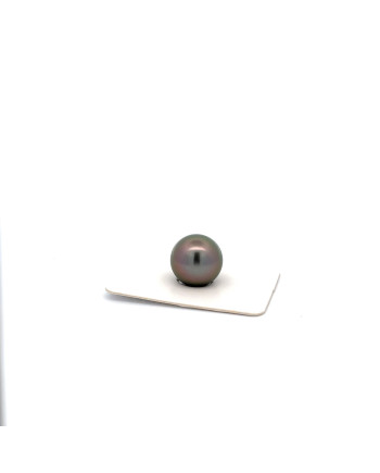 12mm+ fine  grade Tahitian Black pearl, French Polynesia  