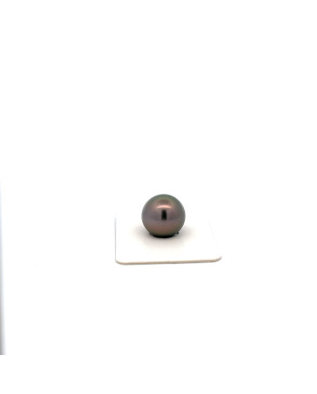 12mm+ fine  grade Tahitian Black pearl, French Polynesia  