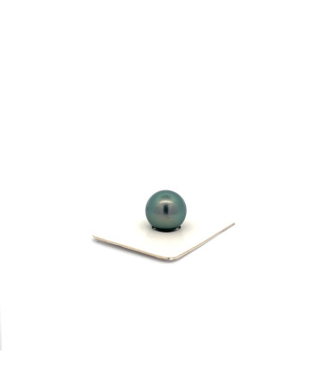 12mm+ fine  grade Tahitian Black pearl, French Polynesia  