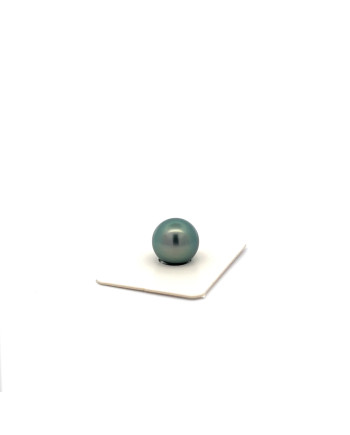 12mm+ fine  grade Tahitian Black pearl, French Polynesia  