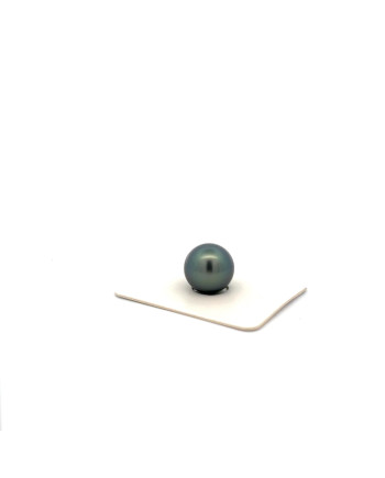 12mm+ fine  grade Tahitian Black pearl, French Polynesia  