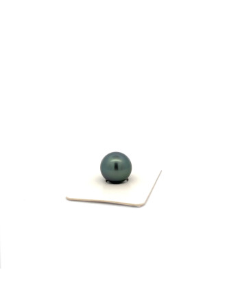 12mm+ fine  grade Tahitian Black pearl, French Polynesia  