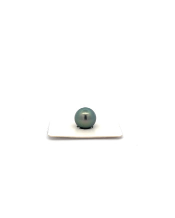 12mm+ fine  grade Tahitian Black pearl, French Polynesia  