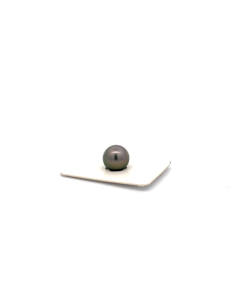 9mm+ fine  grade Tahitian Black pearl, French Polynesia  
