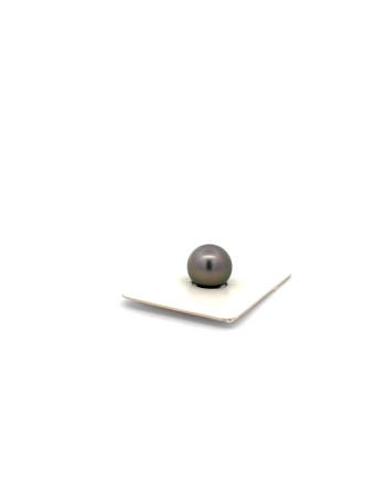 9mm+ fine  grade Tahitian Black pearl, French Polynesia  