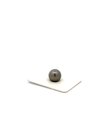 9mm+ fine  grade Tahitian Black pearl, French Polynesia  