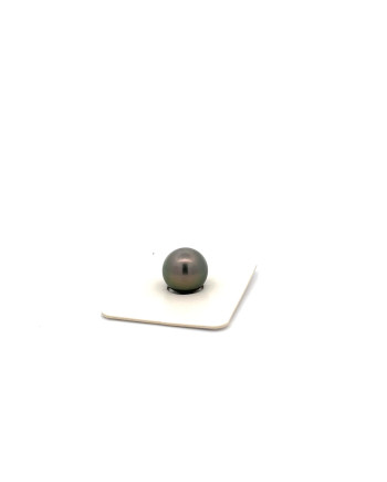 9mm+ fine  grade Tahitian Black pearl, French Polynesia  