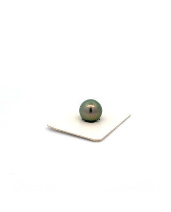 9mm+ jewel  grade Tahitian Black pearl, French Polynesia  