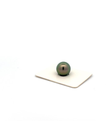 9mm+ jewel  grade Tahitian Black pearl, French Polynesia  