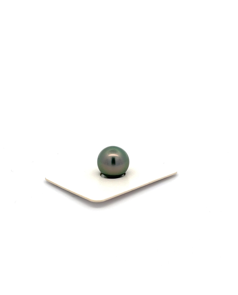 9mm+ jewel  grade Tahitian Black pearl, French Polynesia  