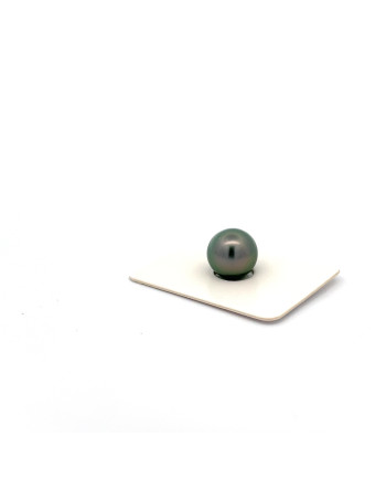 9mm+ jewel  grade Tahitian Black pearl, French Polynesia  
