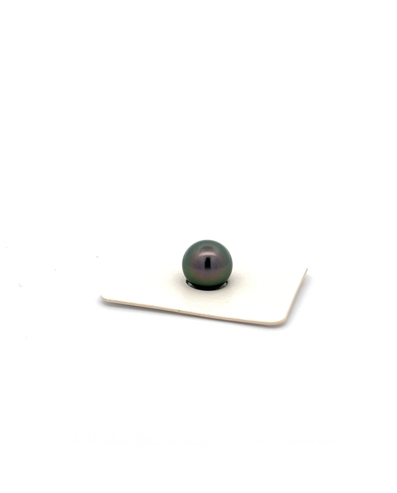 9mm+ jewel  grade Tahitian Black pearl, French Polynesia  