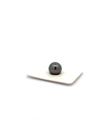 9mm+ jewel  grade Tahitian Black pearl, French Polynesia  