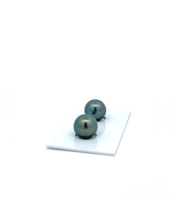 9mm+ jewel  grade Tahitian Black pearl, French Polynesia  