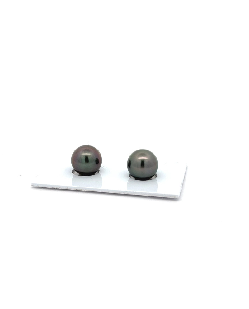9mm+ jewel  grade Tahitian Black pearl, French Polynesia  