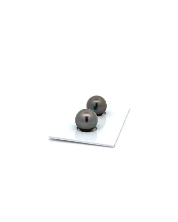 9mm+ jewel  grade Tahitian Black pearl, French Polynesia  