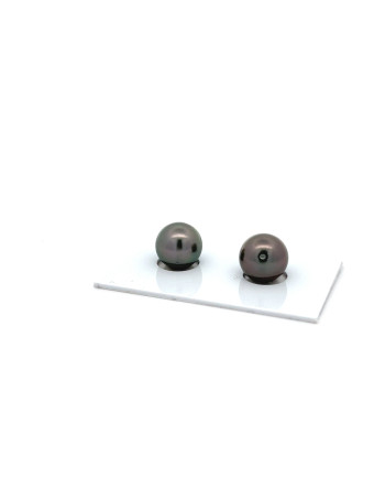 9mm+ jewel  grade Tahitian Black pearl, French Polynesia  