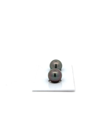 9mm+ jewel  grade Tahitian Black pearl, French Polynesia  