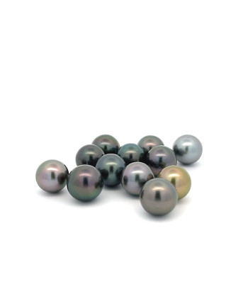 9mm+ jewel  grade Tahitian Black pearl, French Polynesia  