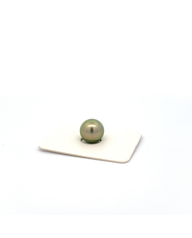 9mm+ gem  grade Tahitian Black pearl, French Polynesia  